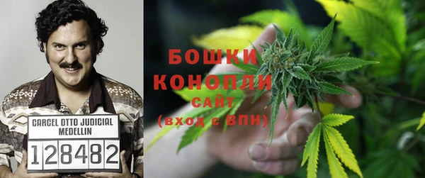 PSILOCYBIN Валуйки