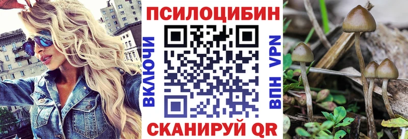 Псилоцибиновые грибы Psilocybe Хилок